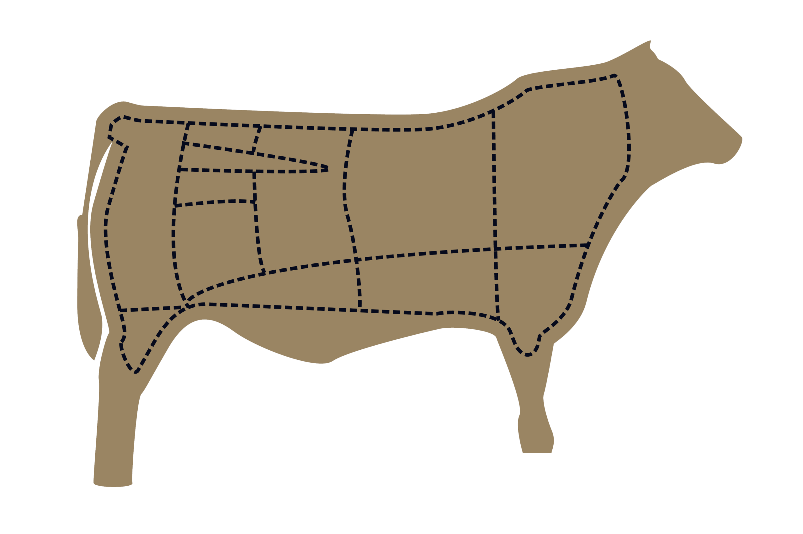 Illustration of a cow with marked sections indicating different cuts of beef, useful for butchers and culinary professionals.
