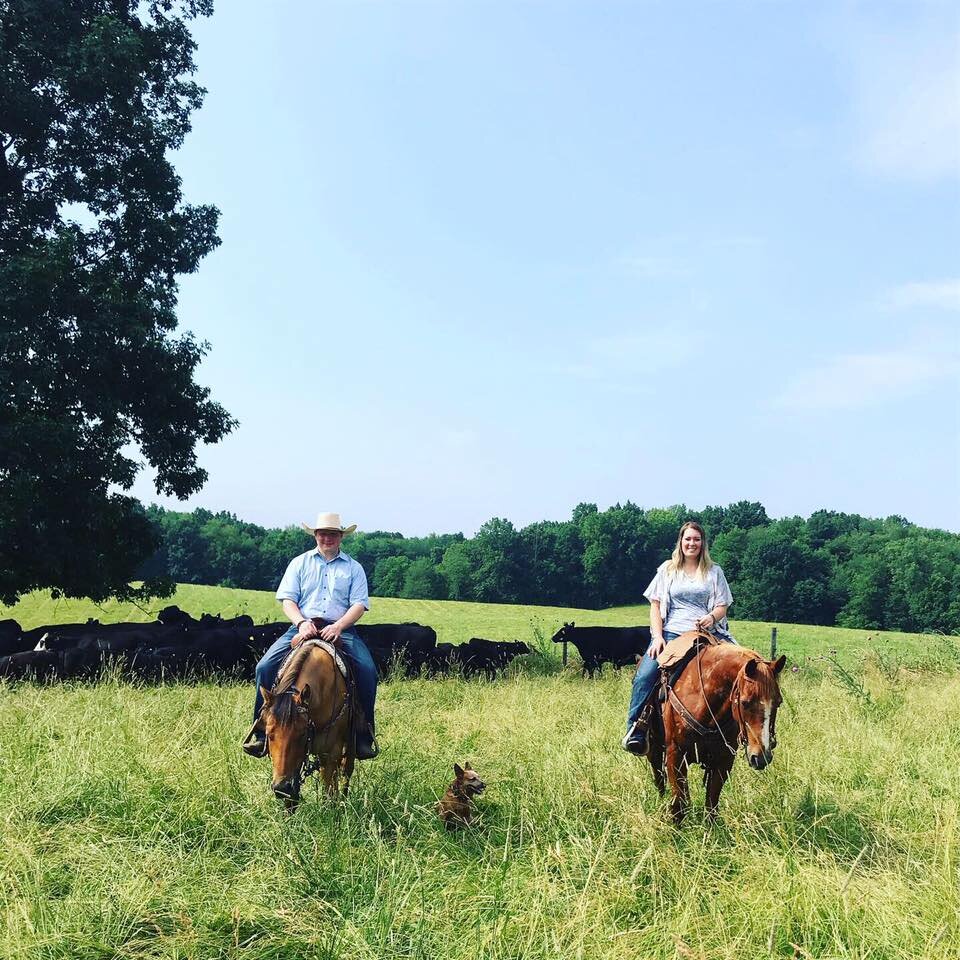Two riders on horseback, a man wearing a cowboy hat and a woman, are positioned in a grassy field with grazing cattle in the background. A dog stands beside them, highlighting a rural farming scene under a clear blue sky.